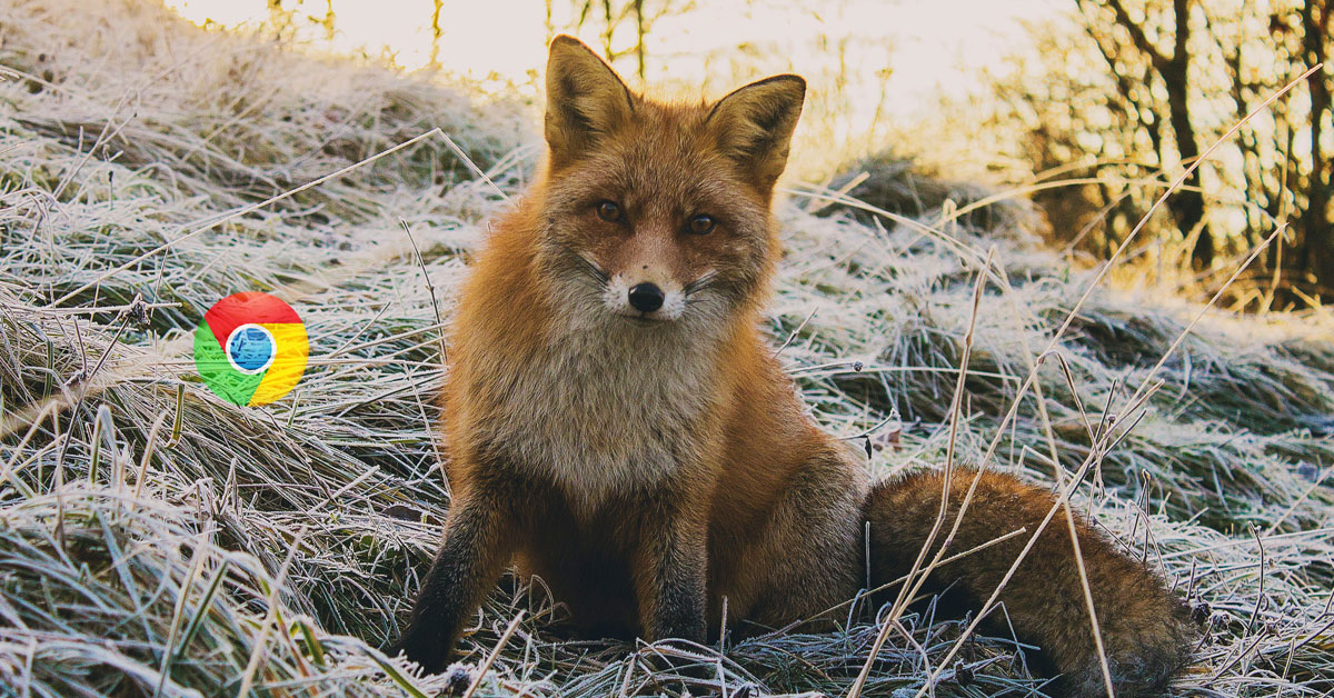 chrome fox